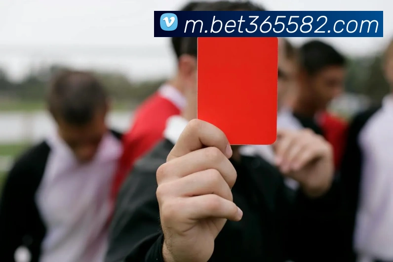 bet365中国官网品牌故事